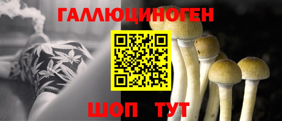 Псилоцибиновые грибы прущие грибы Кириши